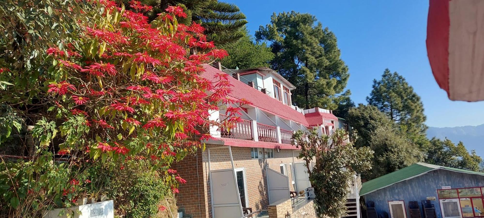 Blue Pine Resort Lansdowne Exterior photo